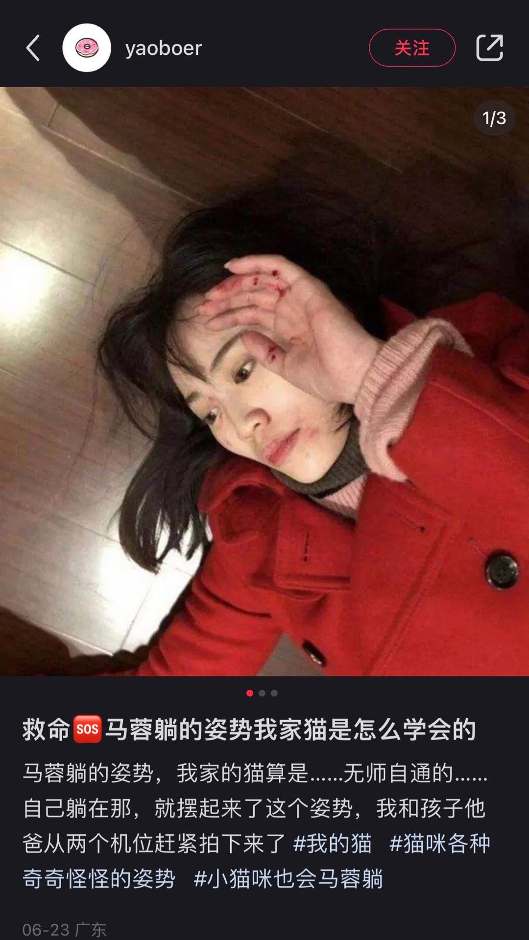 我家猫怎么学会的马蓉躺哈哈哈哈哈哈哈 ​​​