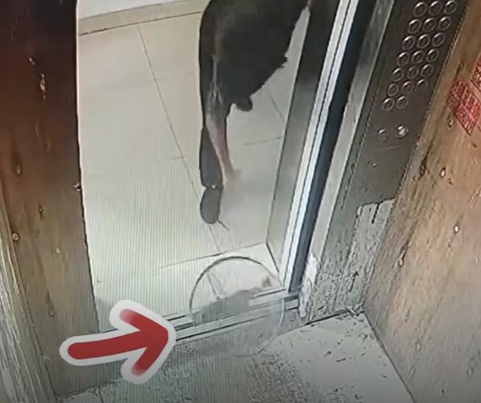 安徽一大妈用菜刀阻拦电梯门 不料刀具掉入电梯门缝隙 大妈还坐电梯瞬间崩坏
近日，
