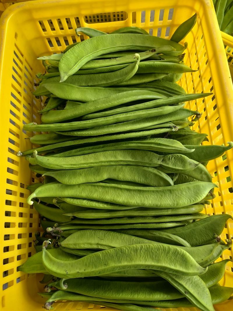 每株都有“剧毒！”有人因为吃了它患上尿毒症，但是家家户户却依旧在吃它，“曾是大锅