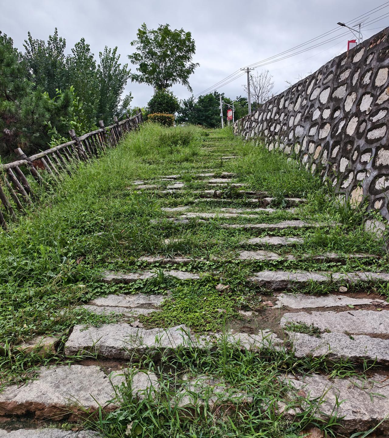 主力资金流入通信，电子板块，电力设备和计算机呈现流出状态，长鑫，宁德流出居前。显