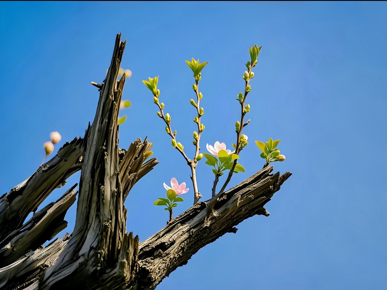 生活从未变的轻松只是学会了接受和顺从祝我们多赚钱，少生气多开心，少焦虑✌️美好的
