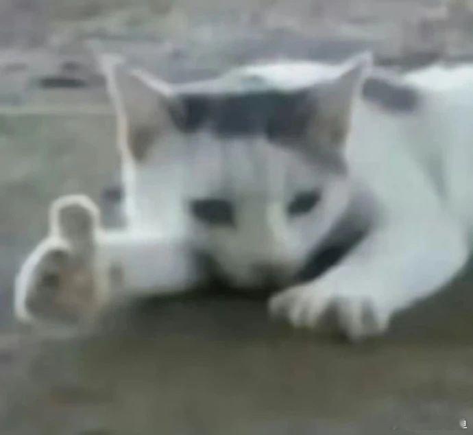 #邓亚萍说中国乒乓梯队建设从未断代#中国乒乓球队，就是最厉害的，一直在打造，新人