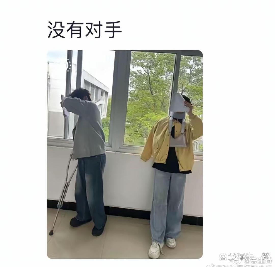 答辩时立人设有多好用 ​​​