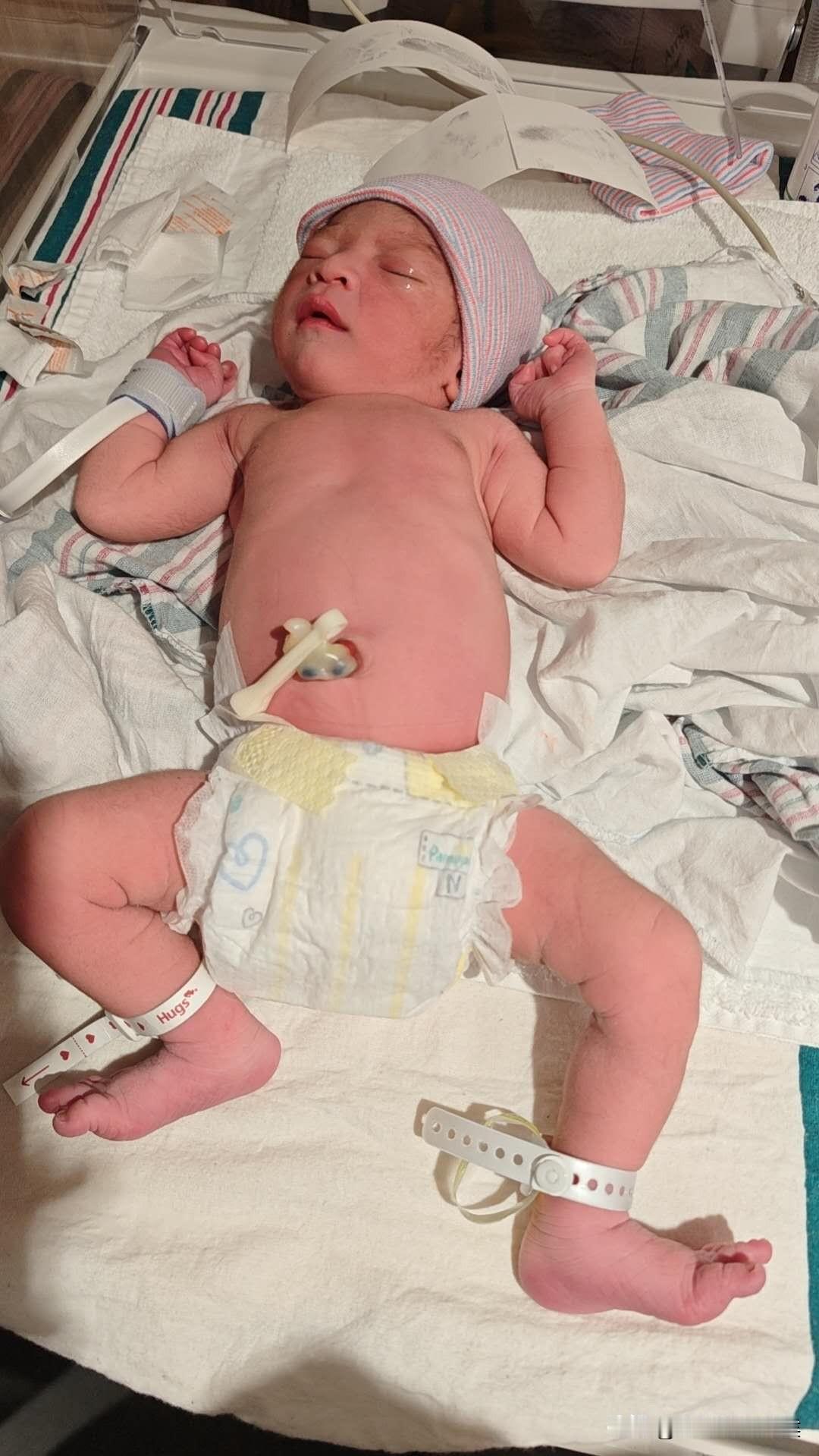 今天一大早，婶子报来喜讯：

她专程去美国生产的儿媳生了一个6.5斤重的男孩，母