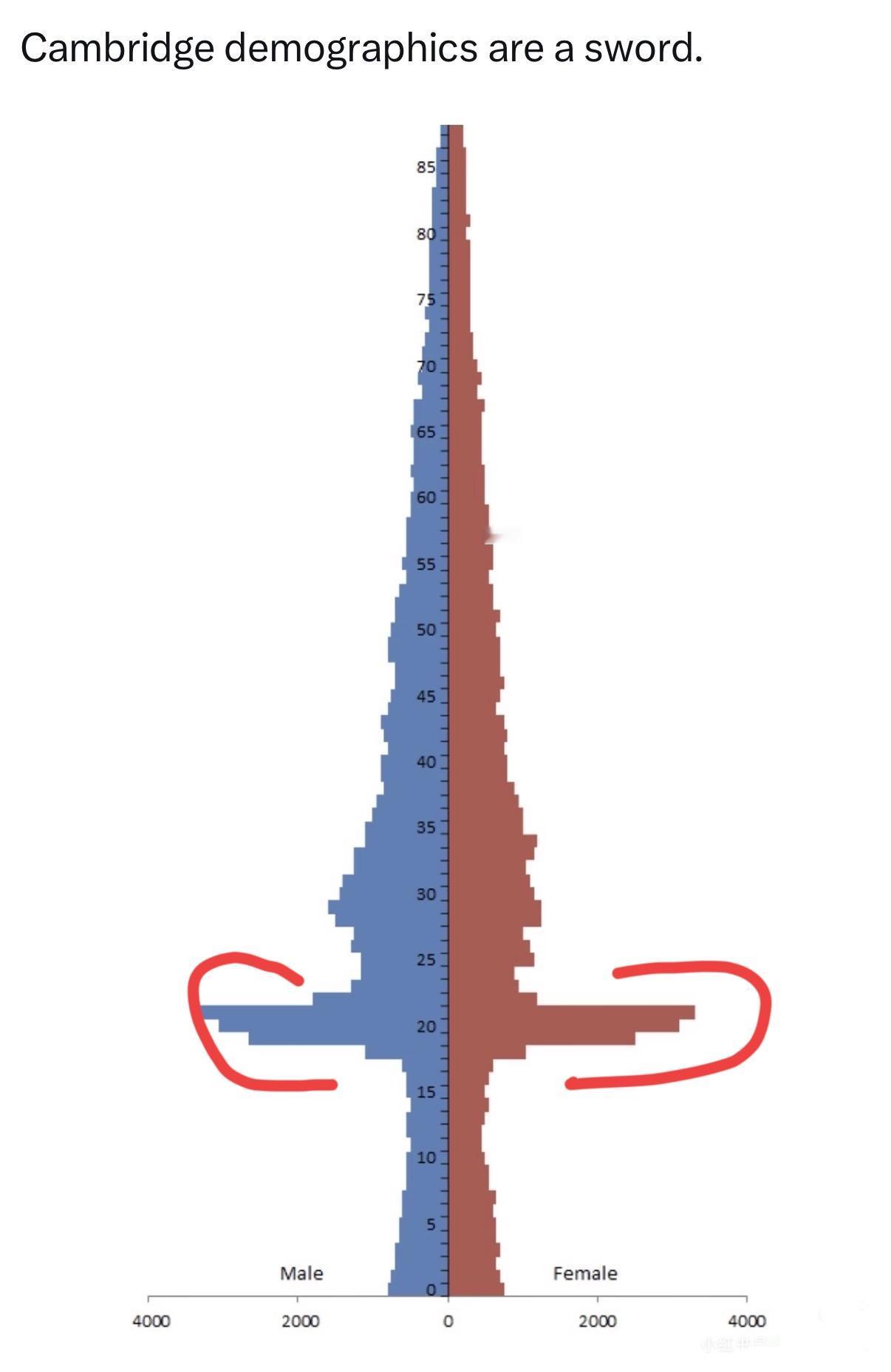 实在搞不懂，为啥剑桥的人口结构像一把剑呢？