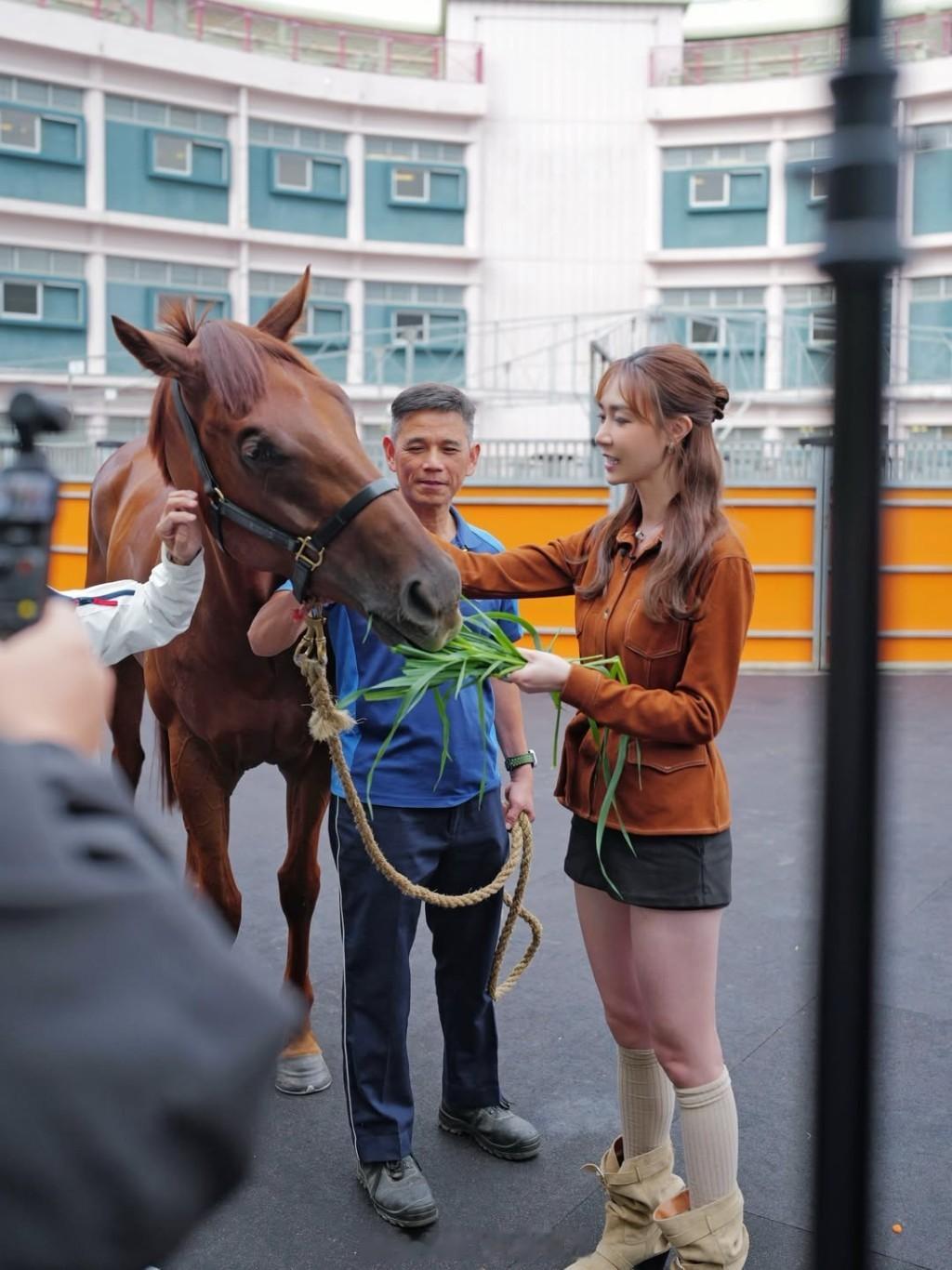 星岛：32岁TVB“最强小三”家住半亿豪宅　爱驹争气拉头马豪取逾2百万奖金　大骚