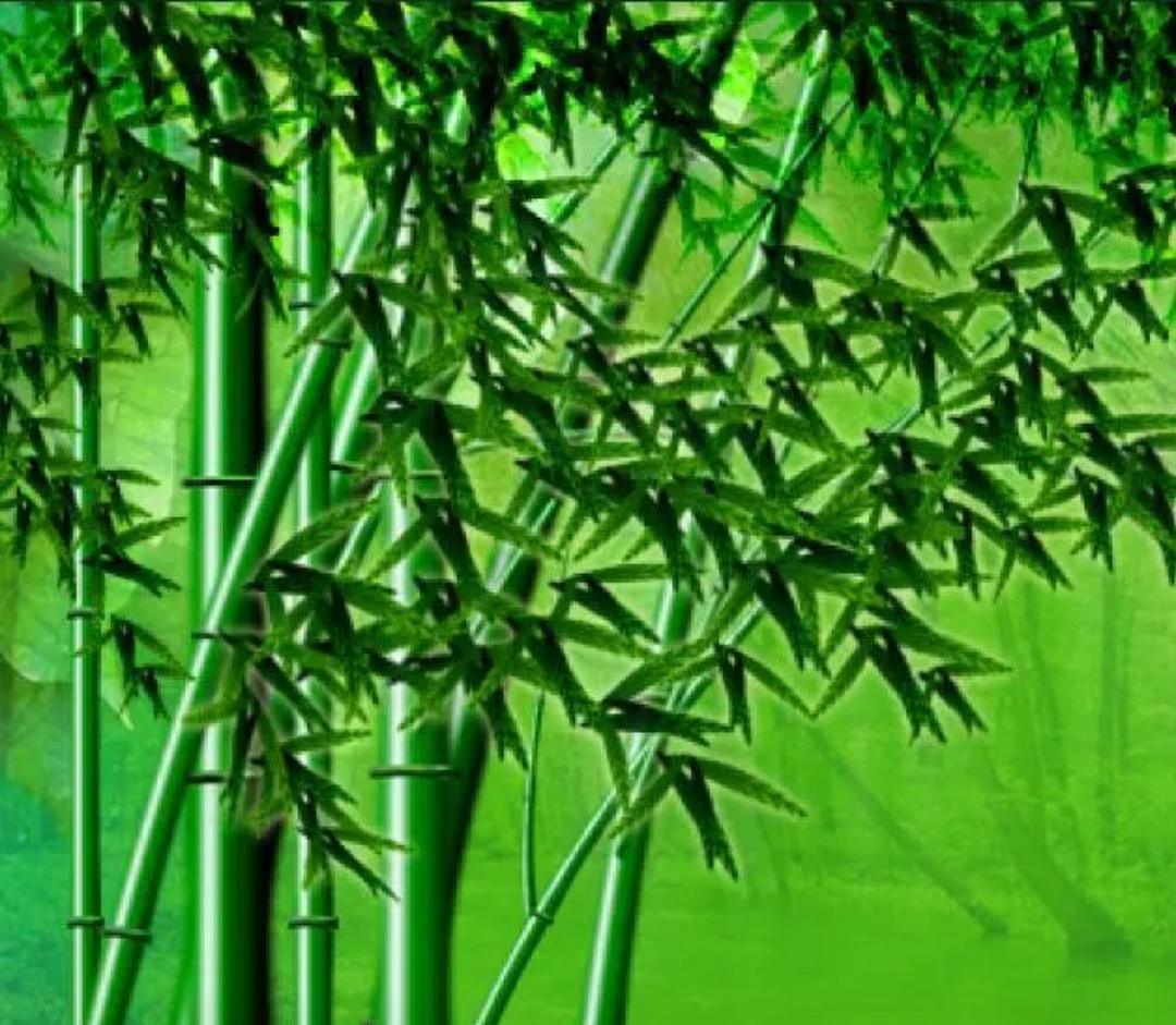 听老师讲“格物致知”
 
很多人一听“格物致知”，觉得很深奥，其实道理特别简单。