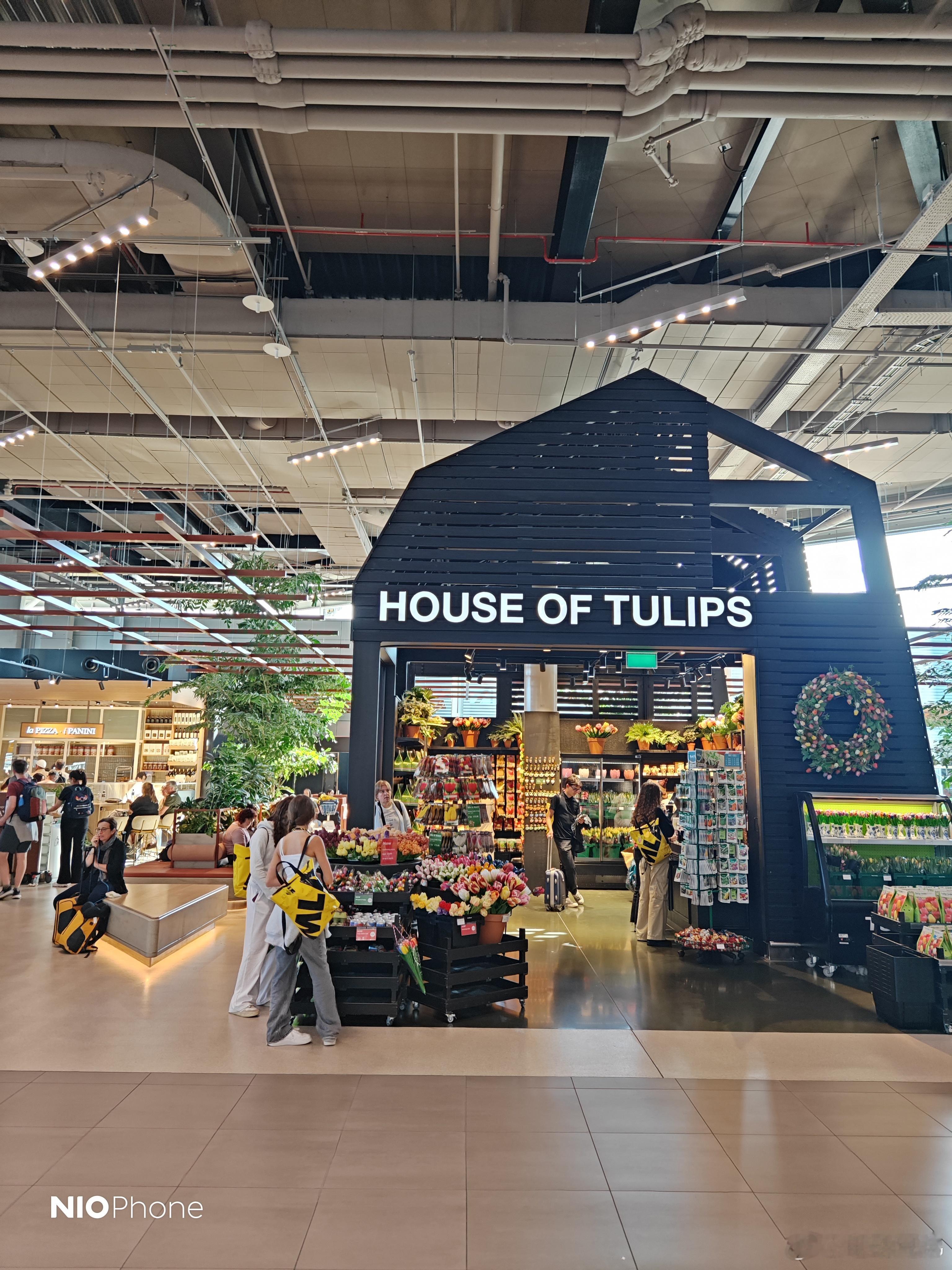 荷兰在我的印象中就是郁金香电动兄弟 荷兰·Amsterdam Airport S