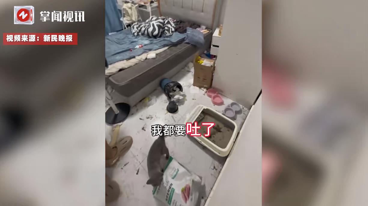 “太缺德了！”近日，上海，一对00后情侣租房2个多月后，竟然直接欠租跑路，房东找