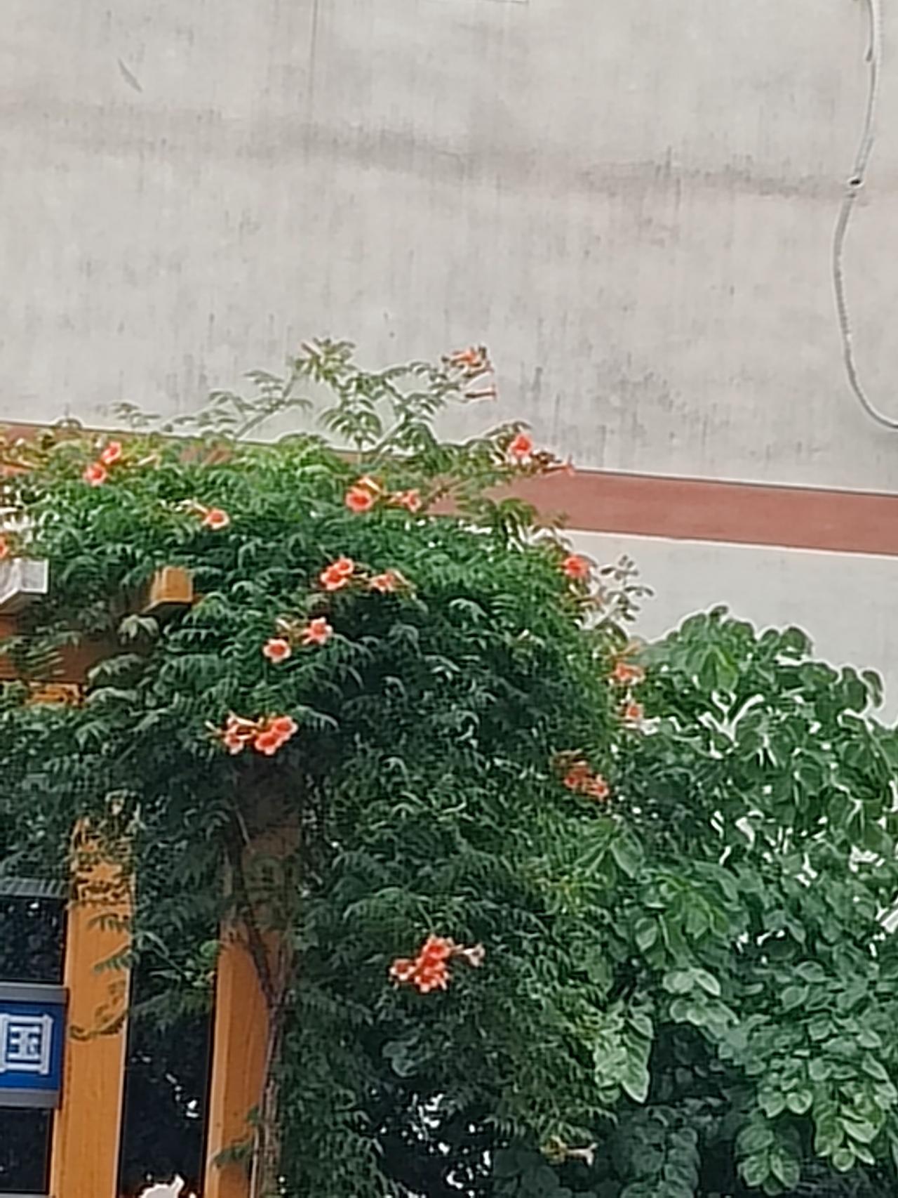 【苏超中的常宝】
说起去年苏超联赛中的常州，什么不好听的绰号都轮上了，“吊州”，