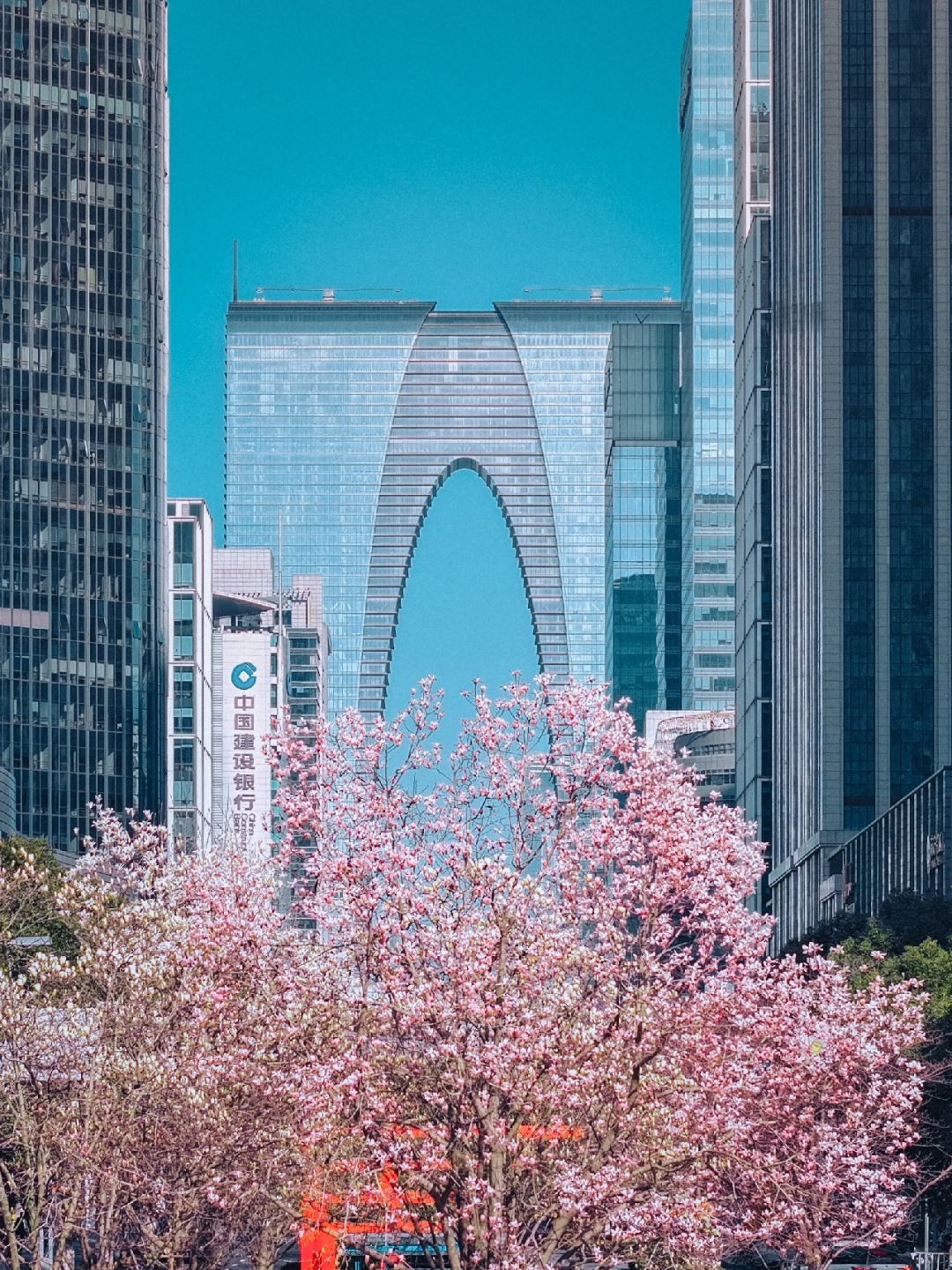 当东方之门遇上玉兰花🌸是自然与科技的共荣