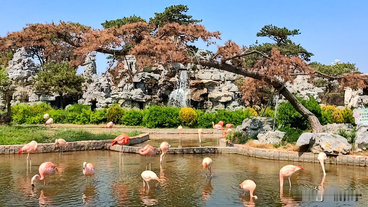 数学里，最不可怕的是孩子起步慢，慢一点，问题看得见，总有办法补。
最可怕的是孩子