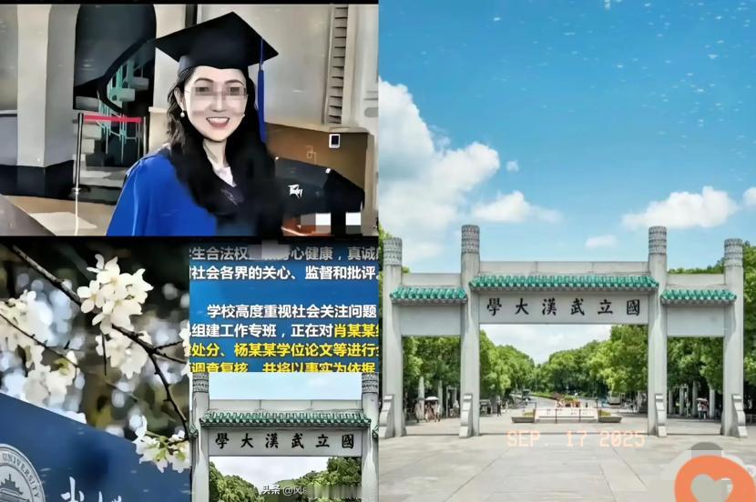 状告母校的杨某媛
​结果出来了，
​法院驳回了她的所有诉求，
​她输得一塌糊涂。