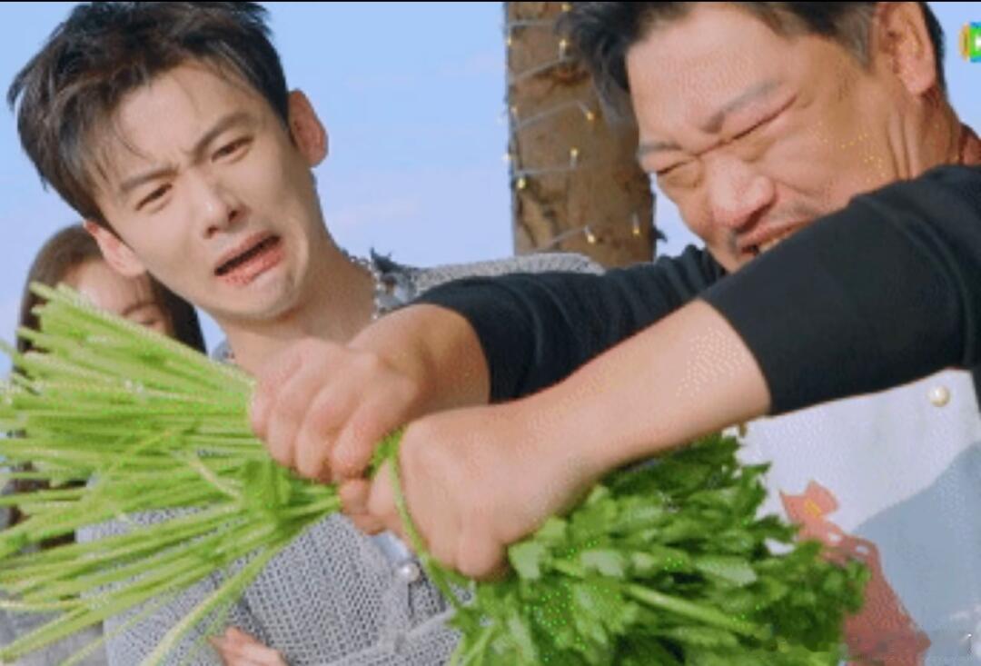 笑死我了，白敬亭这皱皱巴巴的表情，感觉冰哥掰的是他本人 