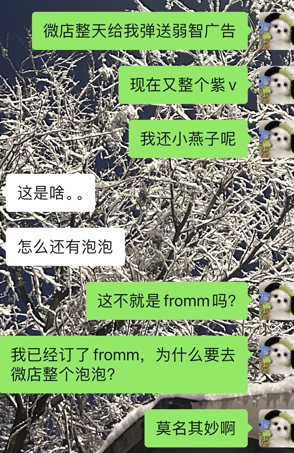 紫v来了，尔康不来？ 