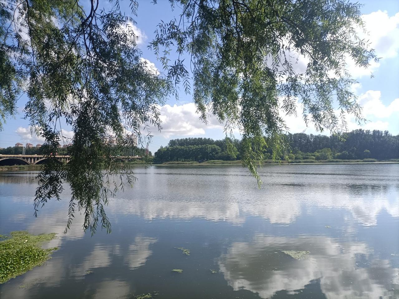 发芽小麦你们吃过吗？


包产到户以后，连续丰收了好几年，终于可以顿顿吃馒头了。
