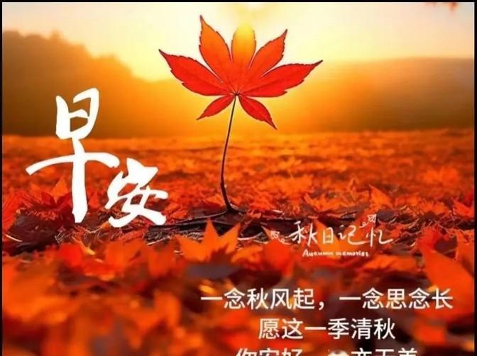 秋风一吹，凉意就来了，窗外黄叶飘，四季又转了一圈。手机里的问候不停，天天有人送暖