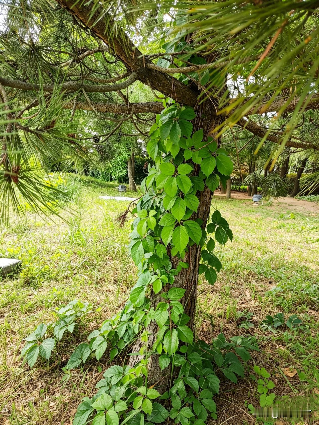 不出所料，我姐的好大儿这次考“三支一扶”又失利了。这家伙28岁，毕业5年还没上一