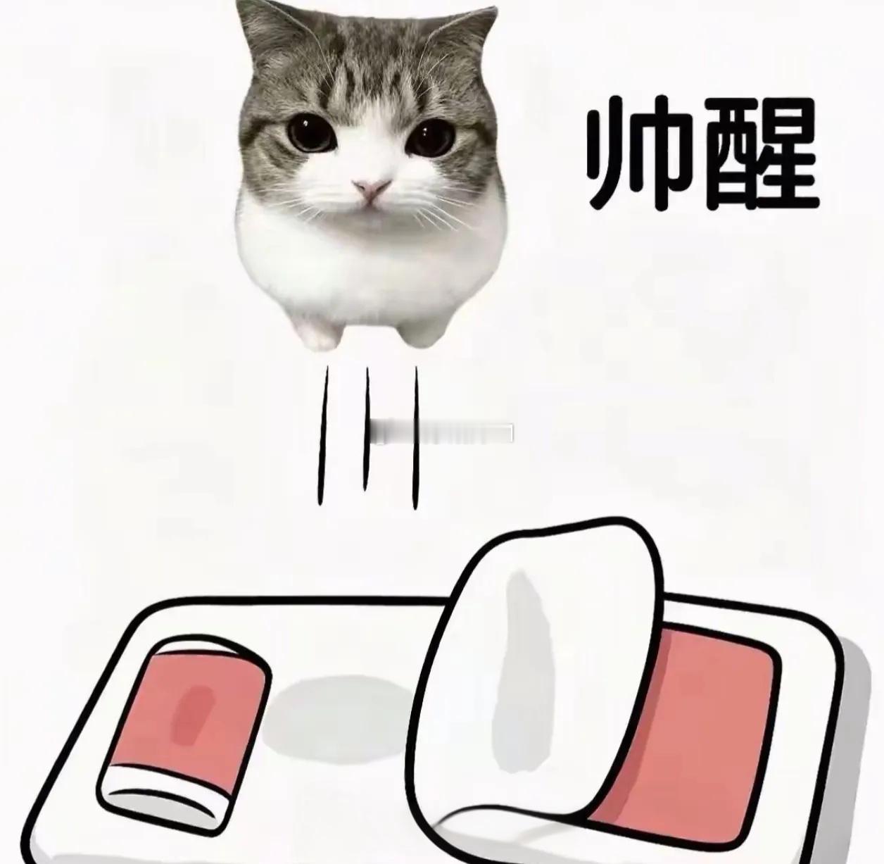 于是，我也开始不断循环🔄 ​​​