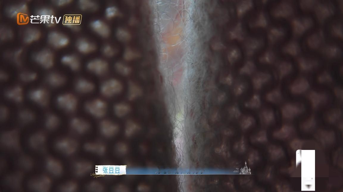 张豆豆说的对
张豆豆跟孙杨说:“为什么我没有拉你的手，因为我一直都是这样的人，你