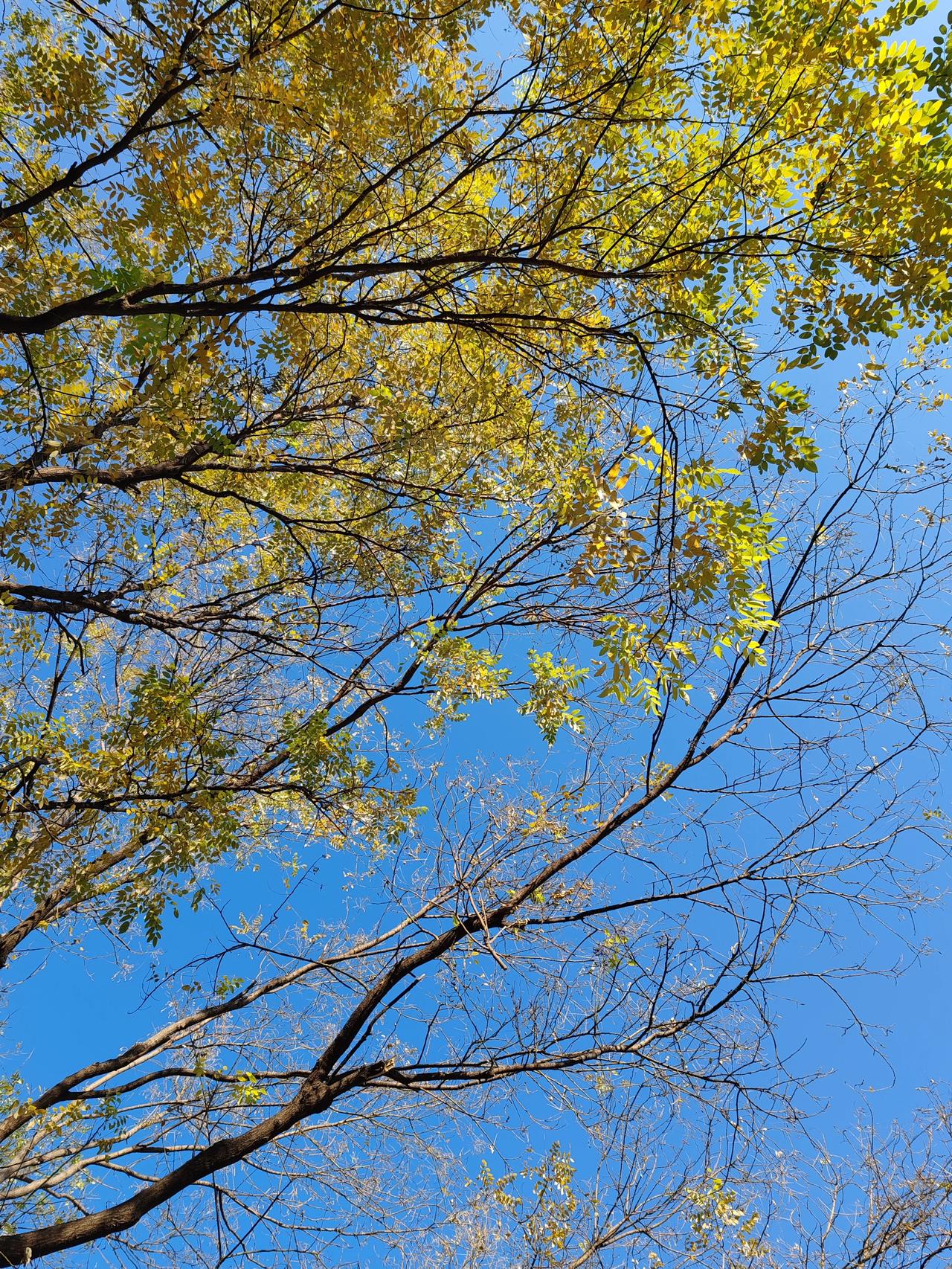 一张图证明冬天来了随手拍。