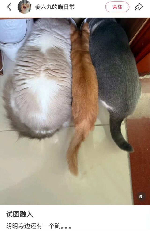 孩子快被挤没了