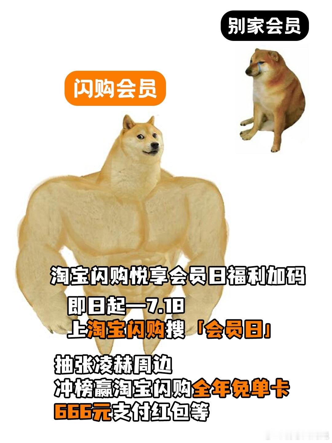 淘宝闪购会员日每月17日解锁专属权益美团会员外卖会员美团神券居家看球美食7月17
