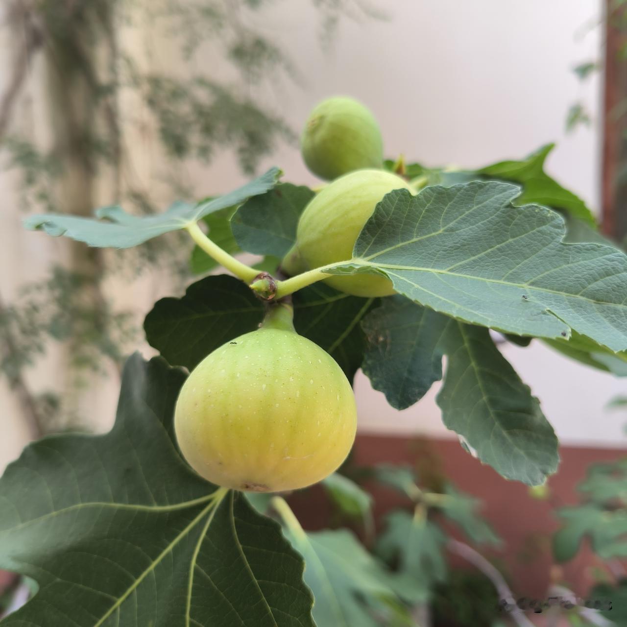 不同的圈子，不同的世界

昨天中午，瘦哥去参加高中同学的二胎孙子喜面，回家后跟我
