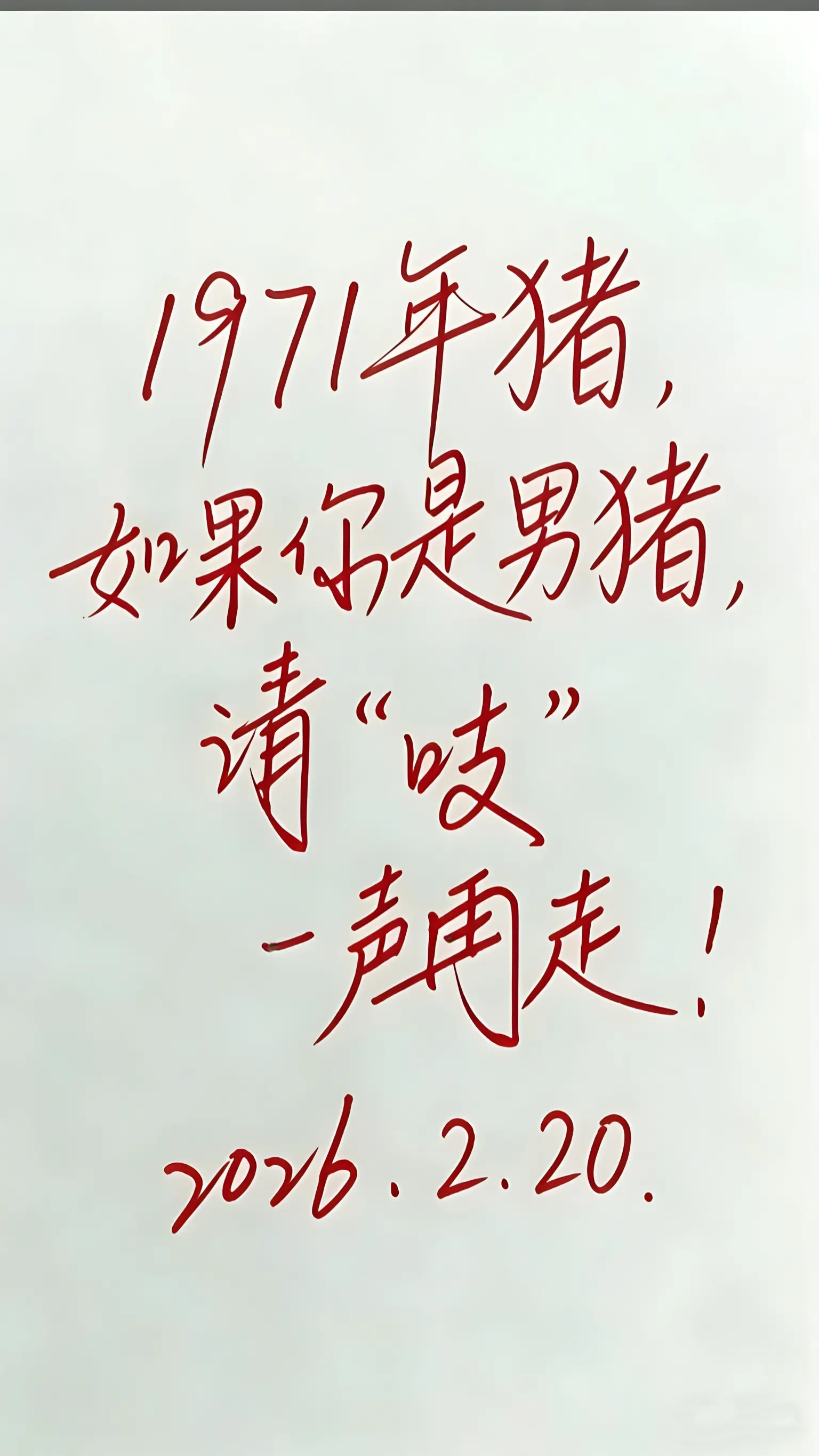 1971年的猪55岁了，如果你也属猪，请吱一声再走，你们都还好吧？愿我...