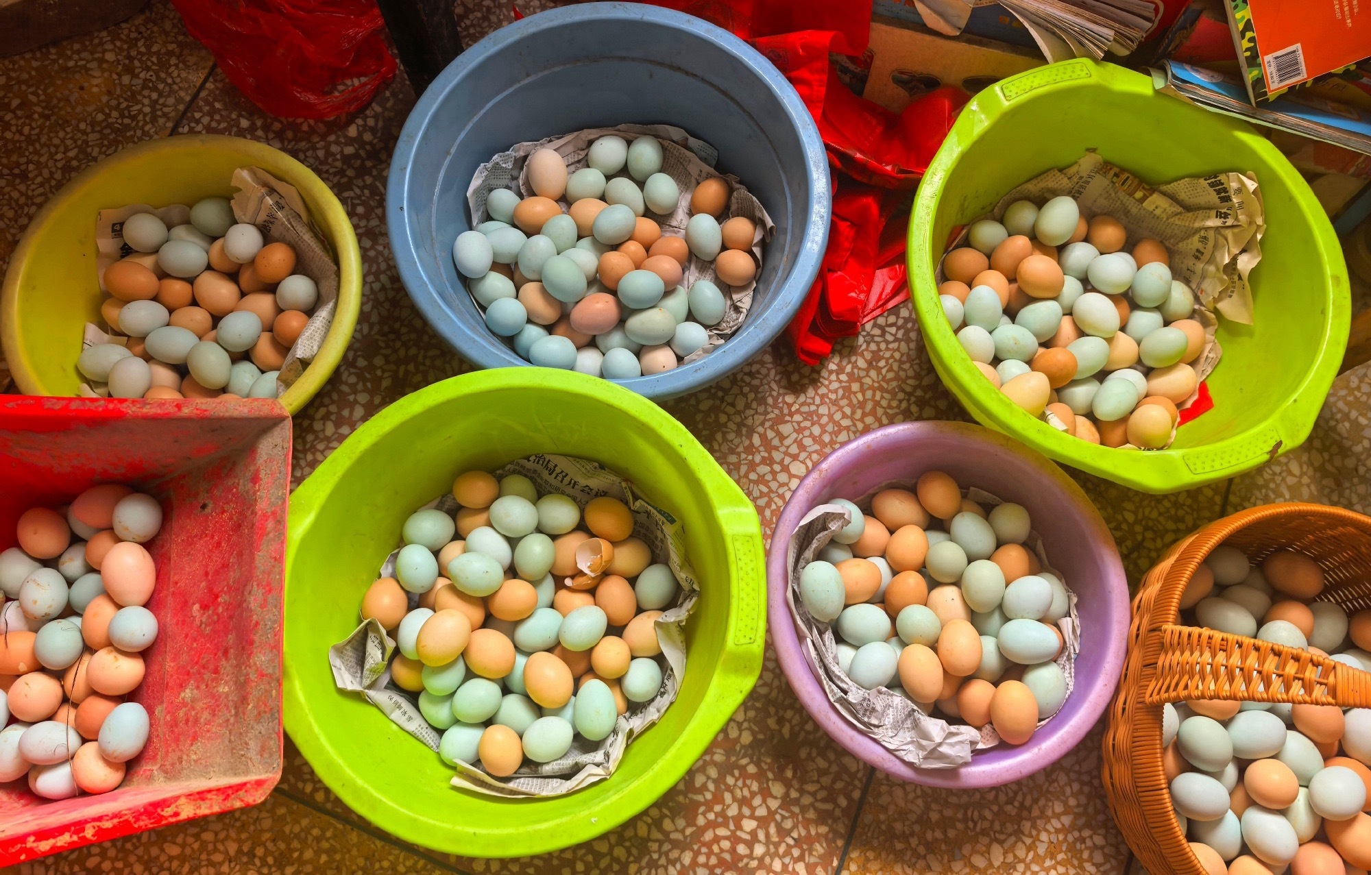 孙杨回应执着买金蛋源于11年前喀山世锦赛！节目争议后首度发声，坦言旅行是夫妻共同