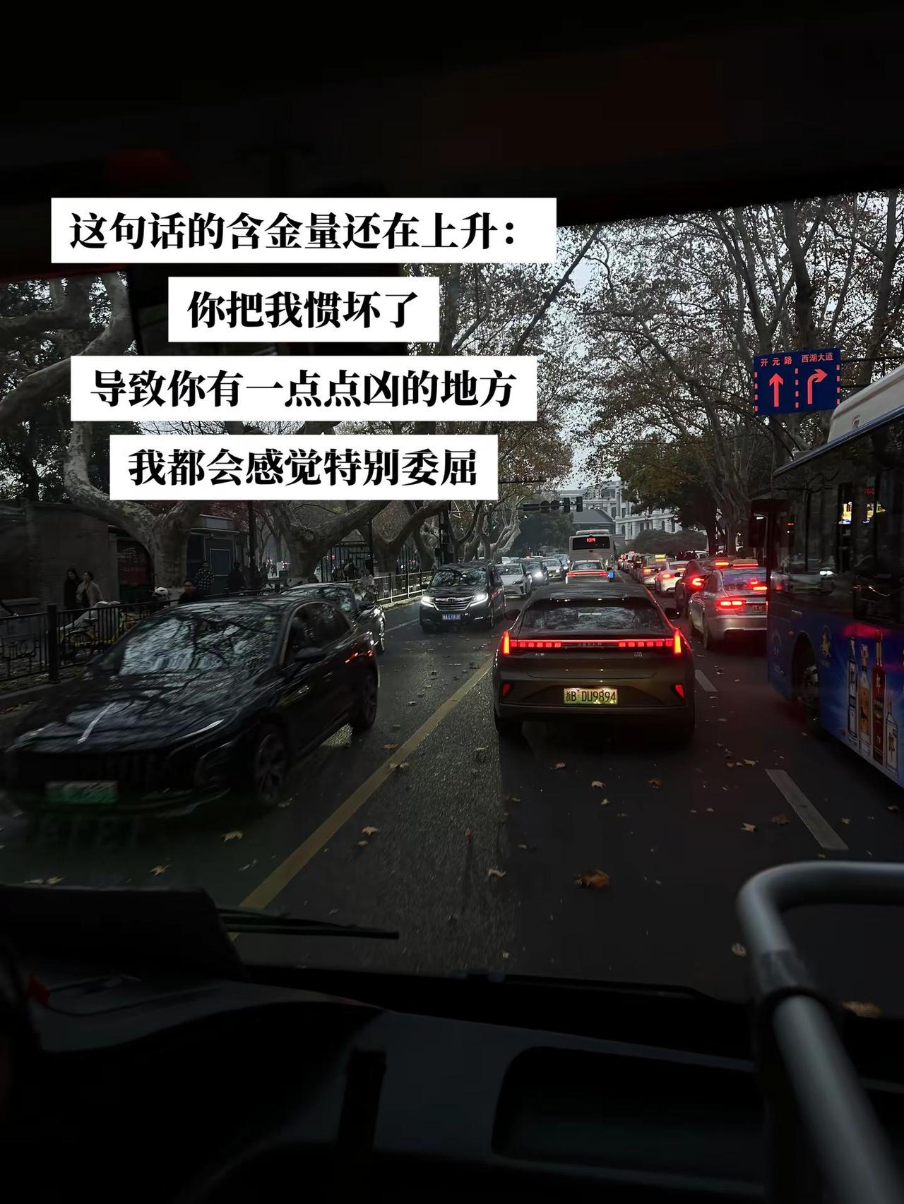 你把我惯坏了 导致你有一点点凶的地方 我都感觉特别委屈.
