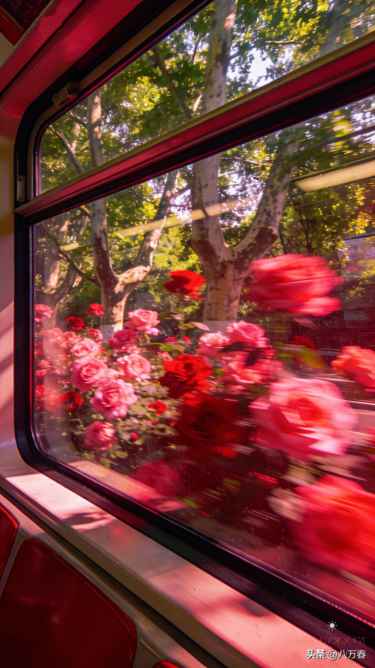 最近喜欢上了这几句话，我把它分享出来，它让我有了对事物的另外一种看法，和思考，换