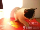 甜晴爱玩科技