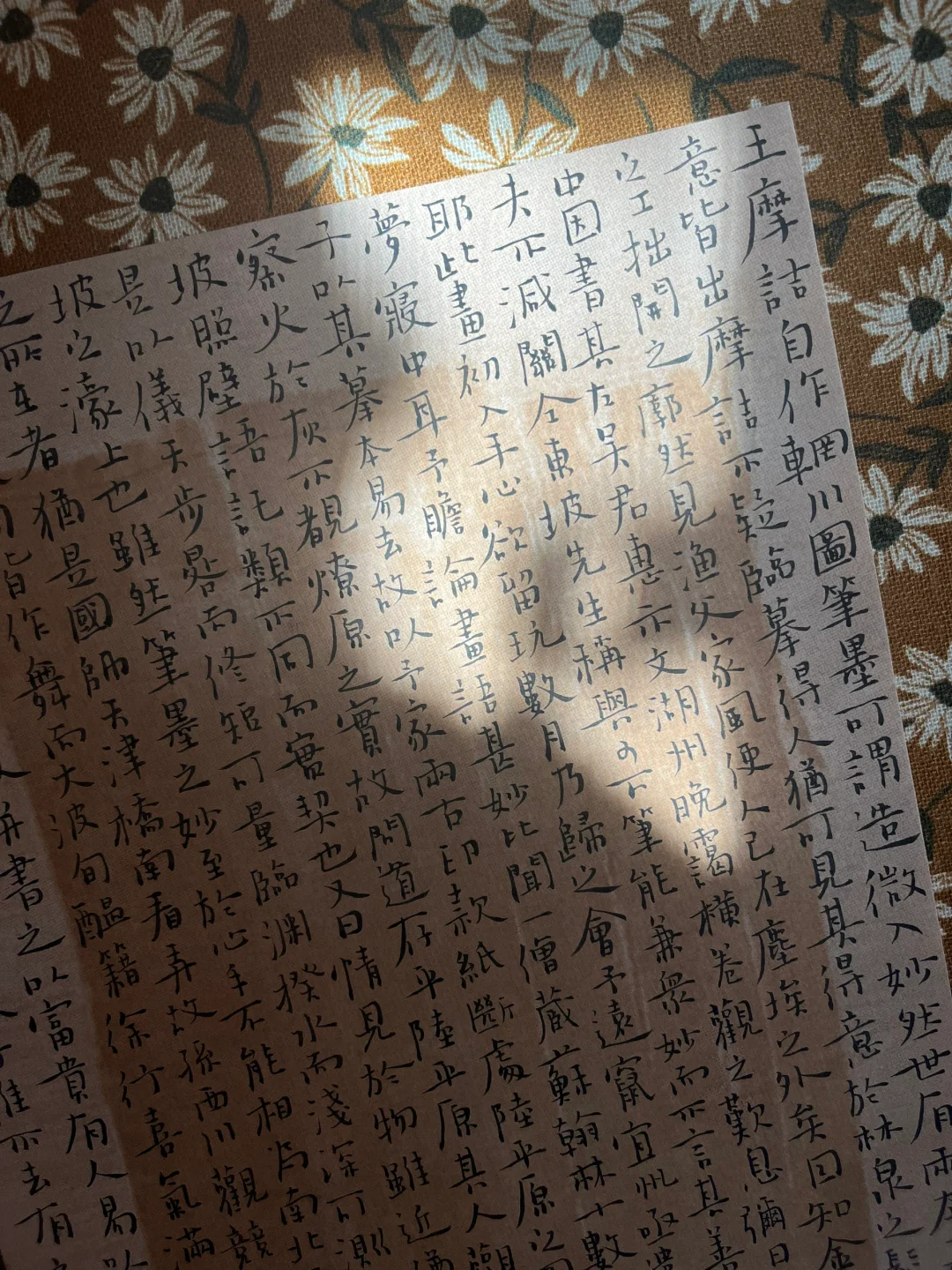 阳光，书，窗，影