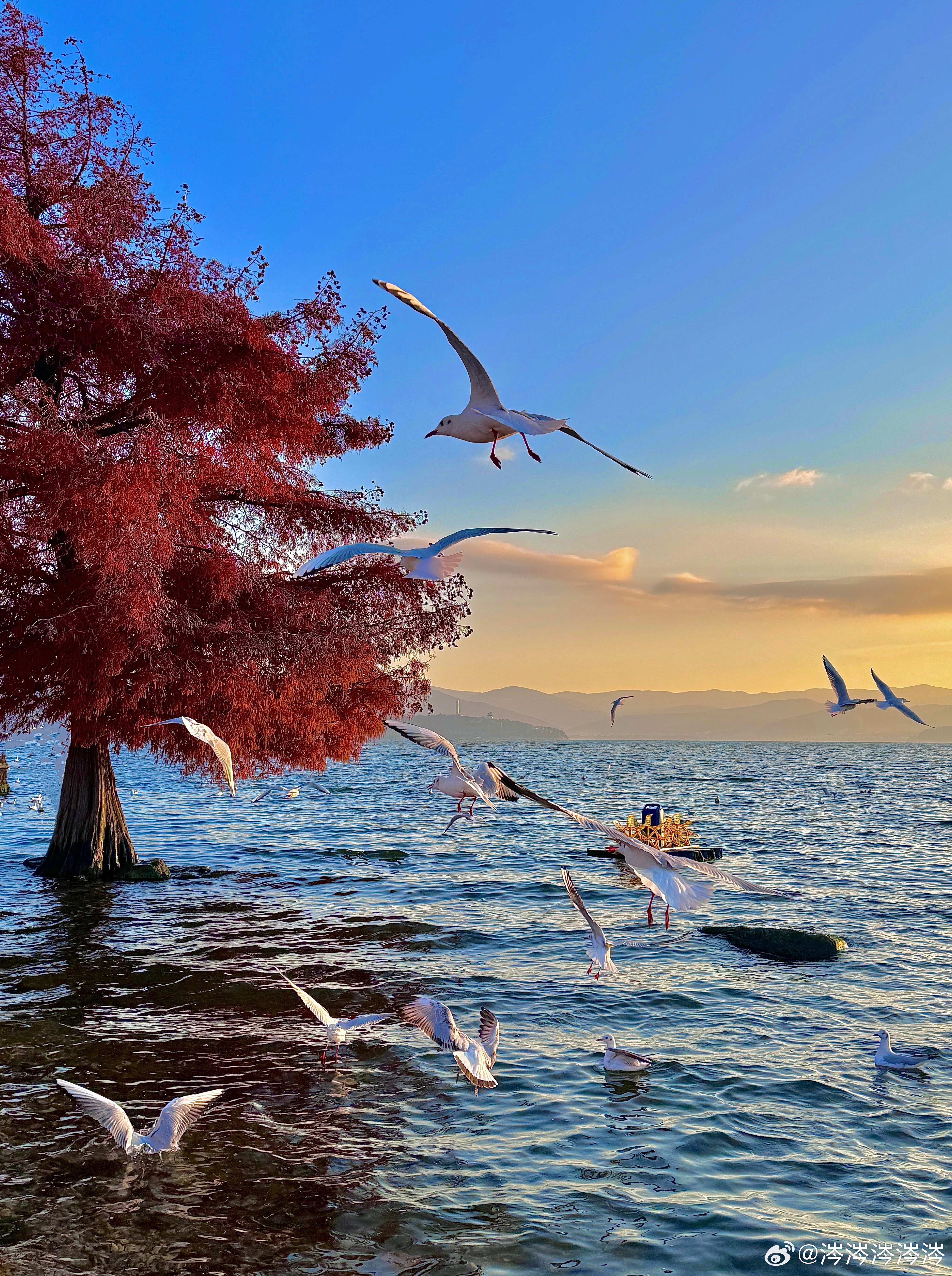 在洱海边 ​​​