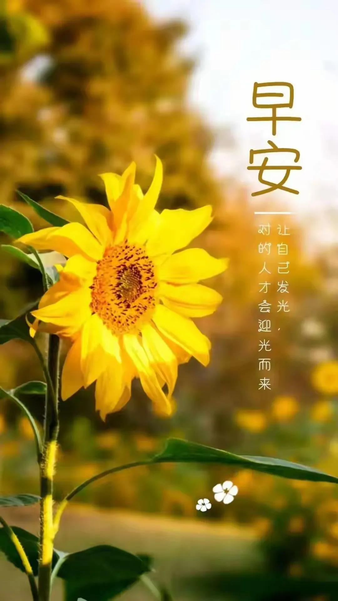 岁月荏苒，白驹过隙。。。。
上联：览尽岁月叹春秋，请赐下联

晨灰薄雾霭，寒露侵