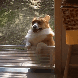 朋友前些年弄上国产电车成天给我吹嘘，感觉现在身边讨论比较多的也都是国产车咋样咋样