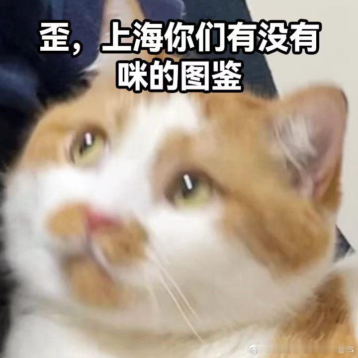 发现一种很新的撸猫方式玩赚灵光万物皆可搓 用灵光搓个猫咪驱虫倒计时，再建个电子户