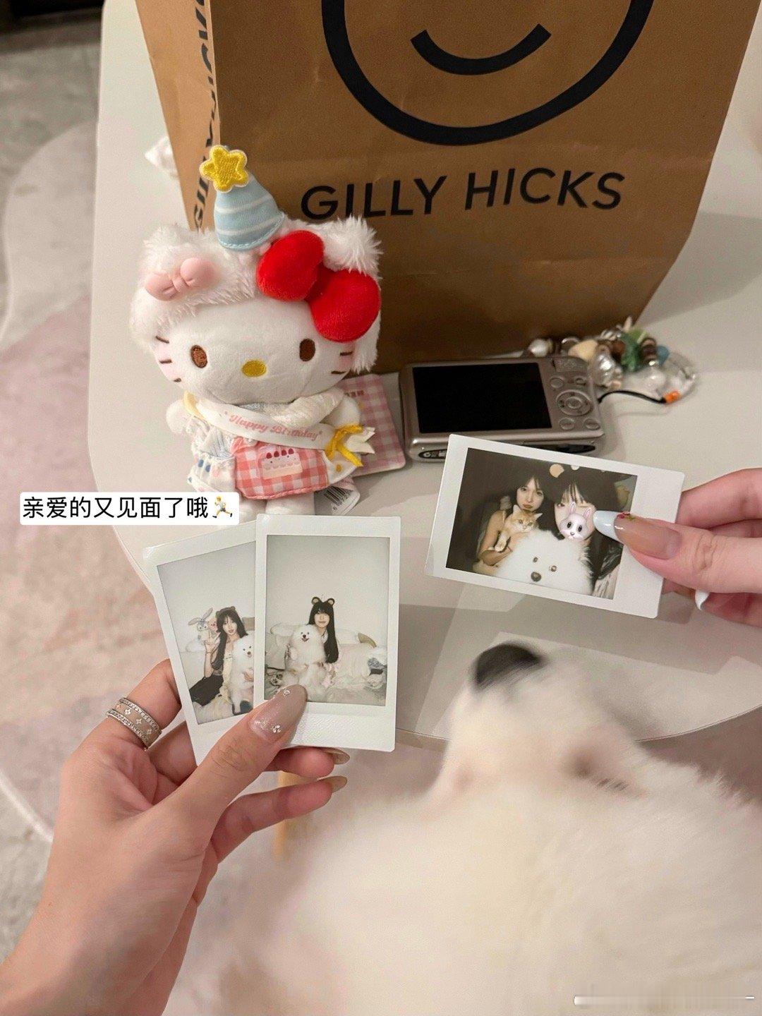 耶好久没更新了 最近过的有点太幸福了📝我的日常plog ​​​