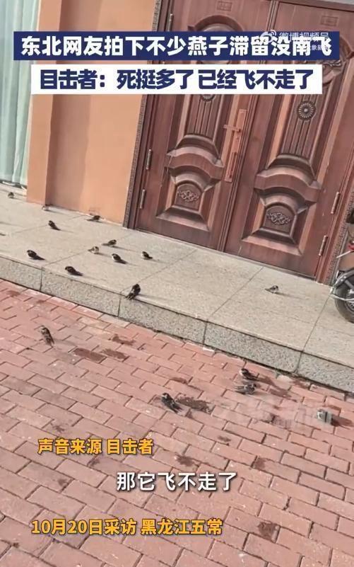 要穿秋裤了，一条裤子扛不住了。
昨天晚上刚准备收夏凉被，感叹今年的夏天多了一个月