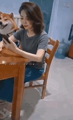 女子听说他前夫是又离了，她幸灾乐祸，高兴成这个样子！座在椅上笑的都往后翻了三次，