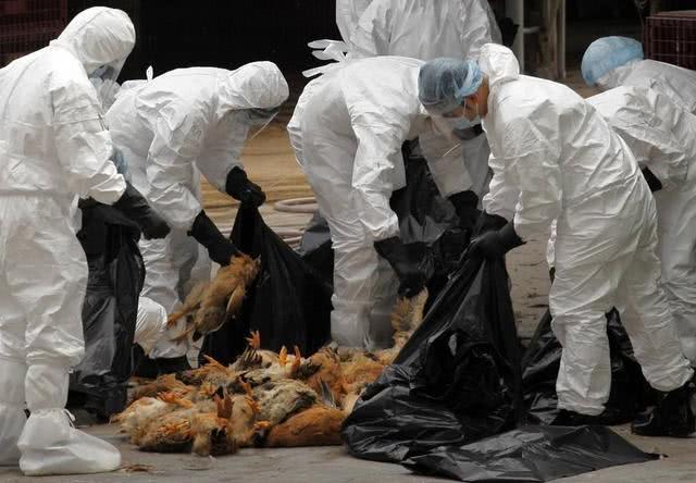 警惕！美国已经出现首例感染H5N1的重症病例！当地时间12月18日，美国方面透露