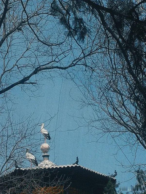 纠结对错
不如
先做起来
抱怨环境
不如
攒点底气
盯着别人
不如
修自己的路