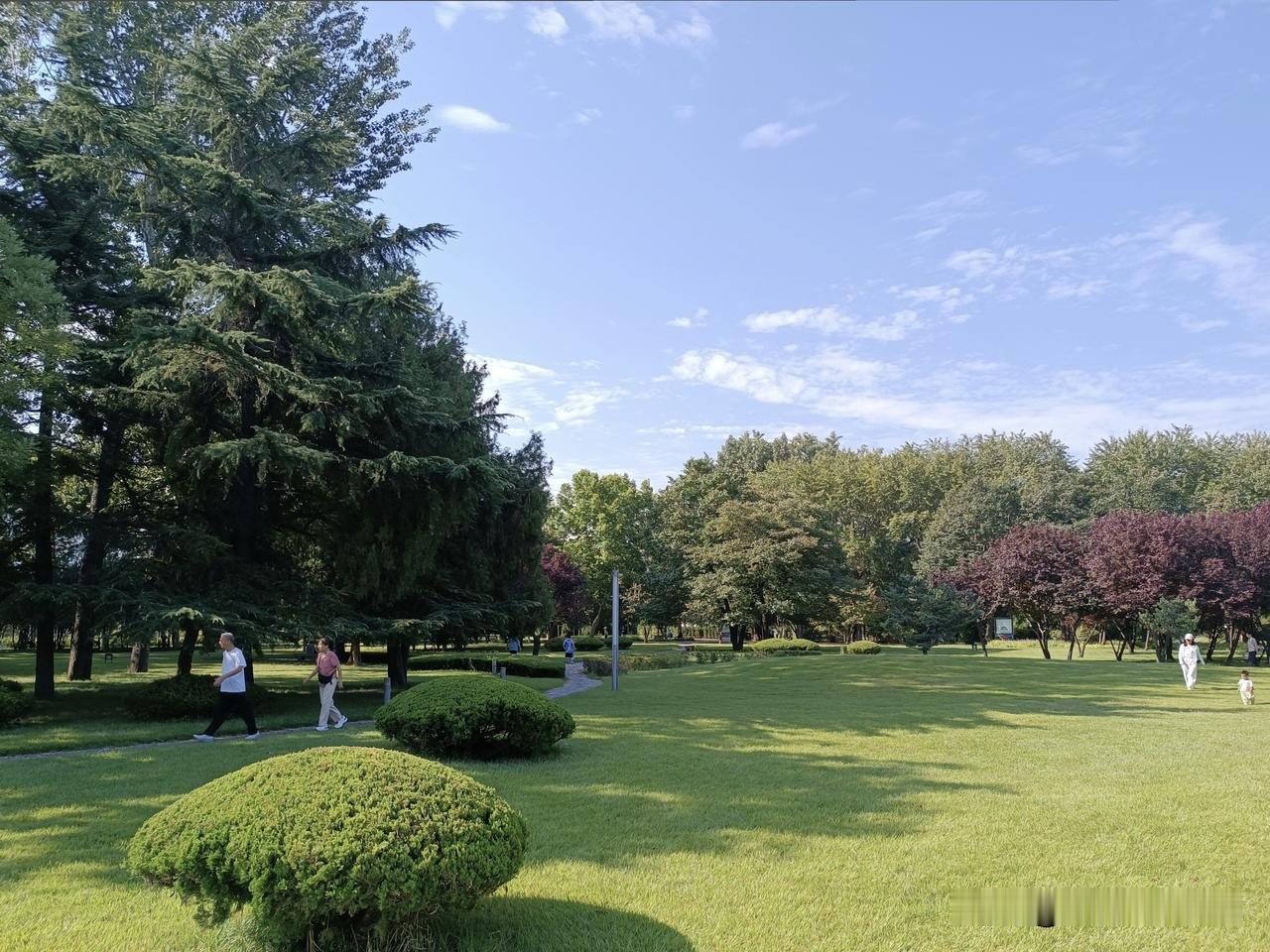泉城邢台
——达活泉公园·芳草如茵的草坪
晴空澄澈，白云淡淡。公园之内芳草如茵，