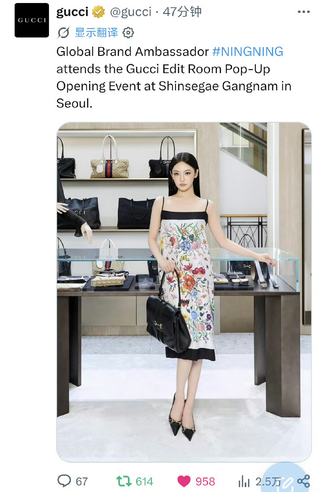 什么aespa，我只看到了Global Brand Ambassador NIN
