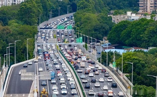 蚂蚁为什么就不会堵车？拖垮中国交通的罪魁祸首，并不是车太多。交通拥堵完全是交通管