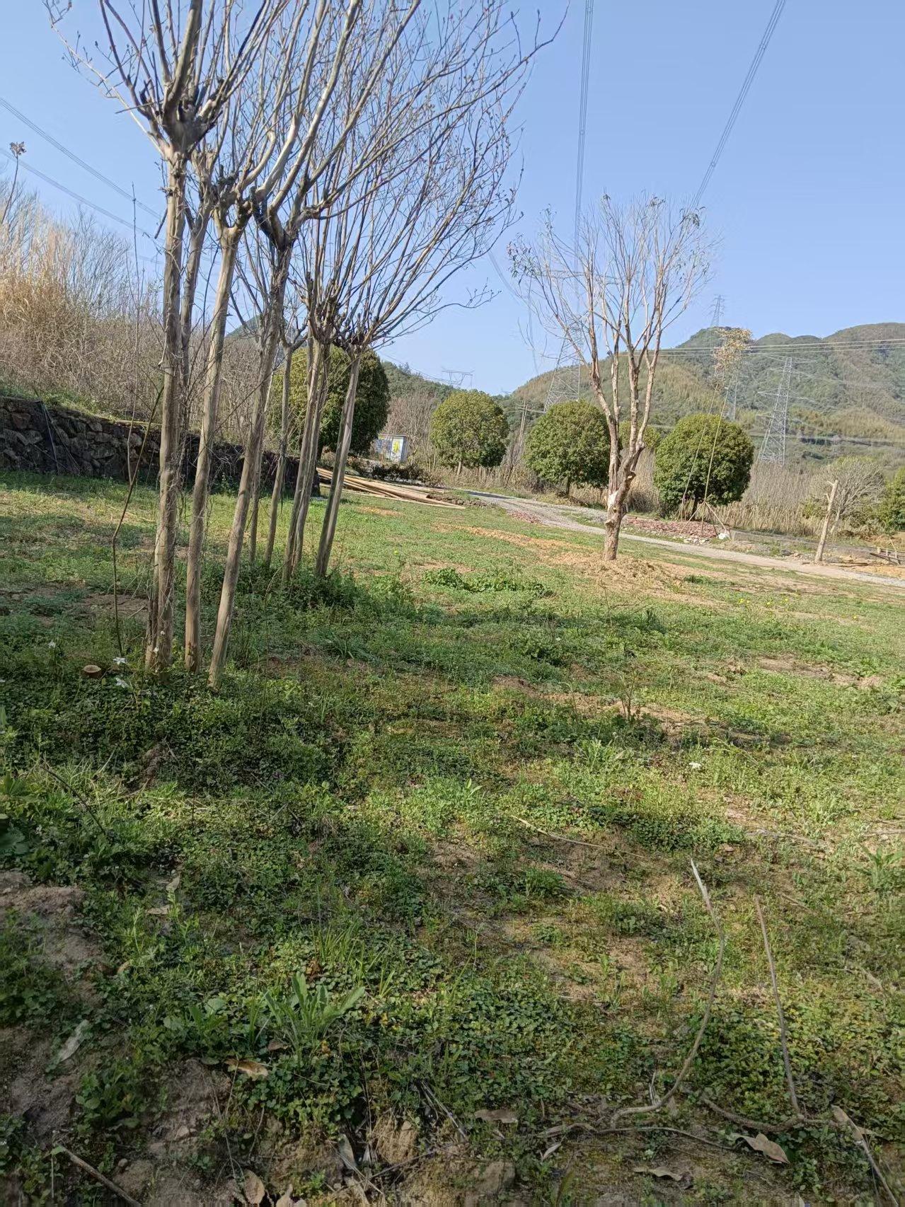 分享一张最近随手拍的照片