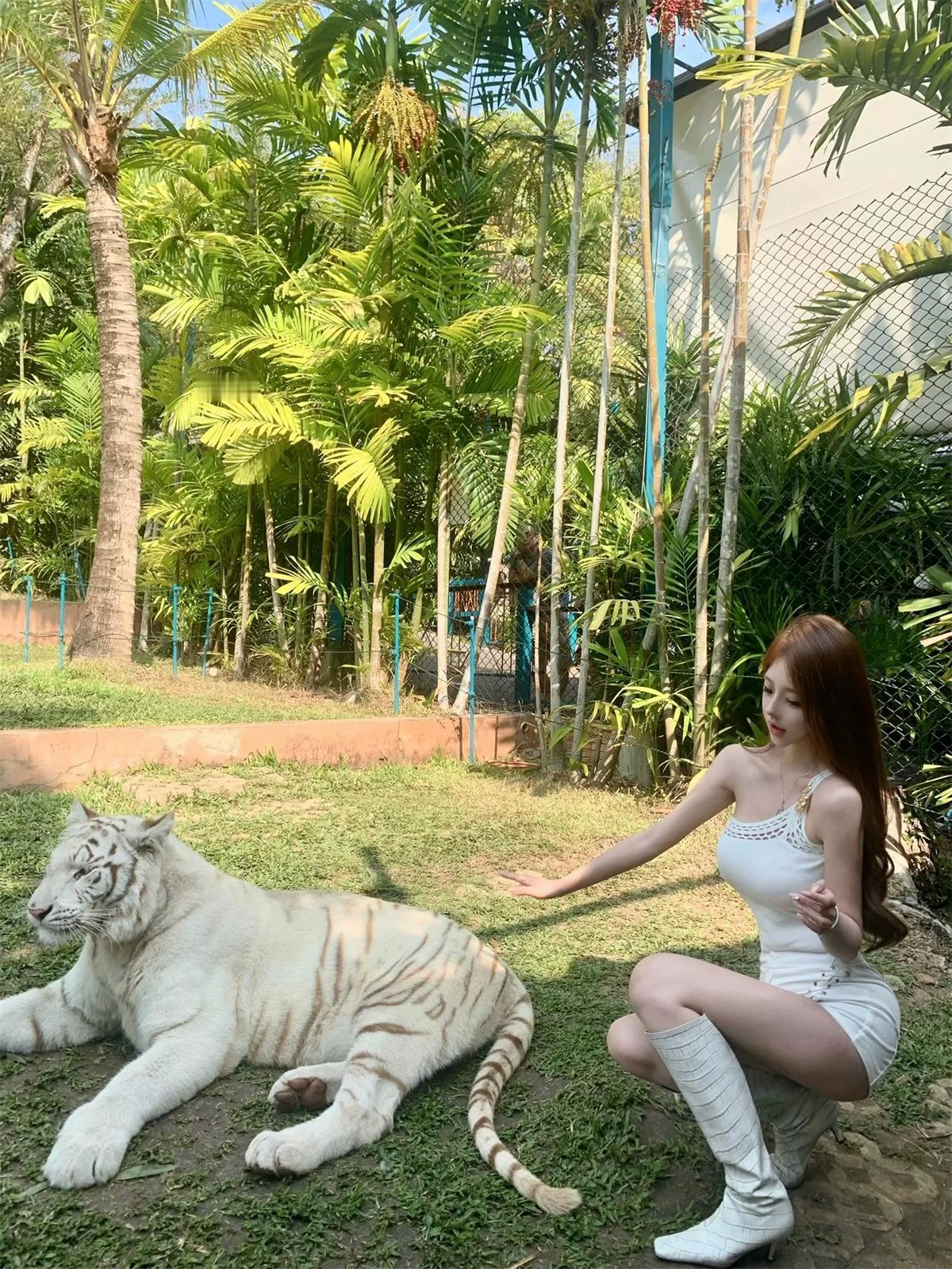 美女与野兽组合