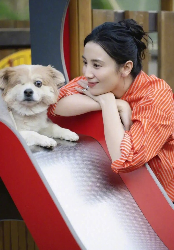 宋佳领养了一只残疾的狗狗，感谢宋佳给了苦命的狗狗一个家。.再次呼吁领养代替购买，