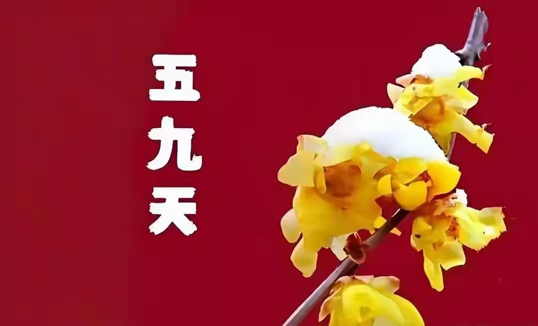 四九刚过，五九冷得不讲道理，到底暖不暖得起来？
 
今天是1月25号，四九第八天